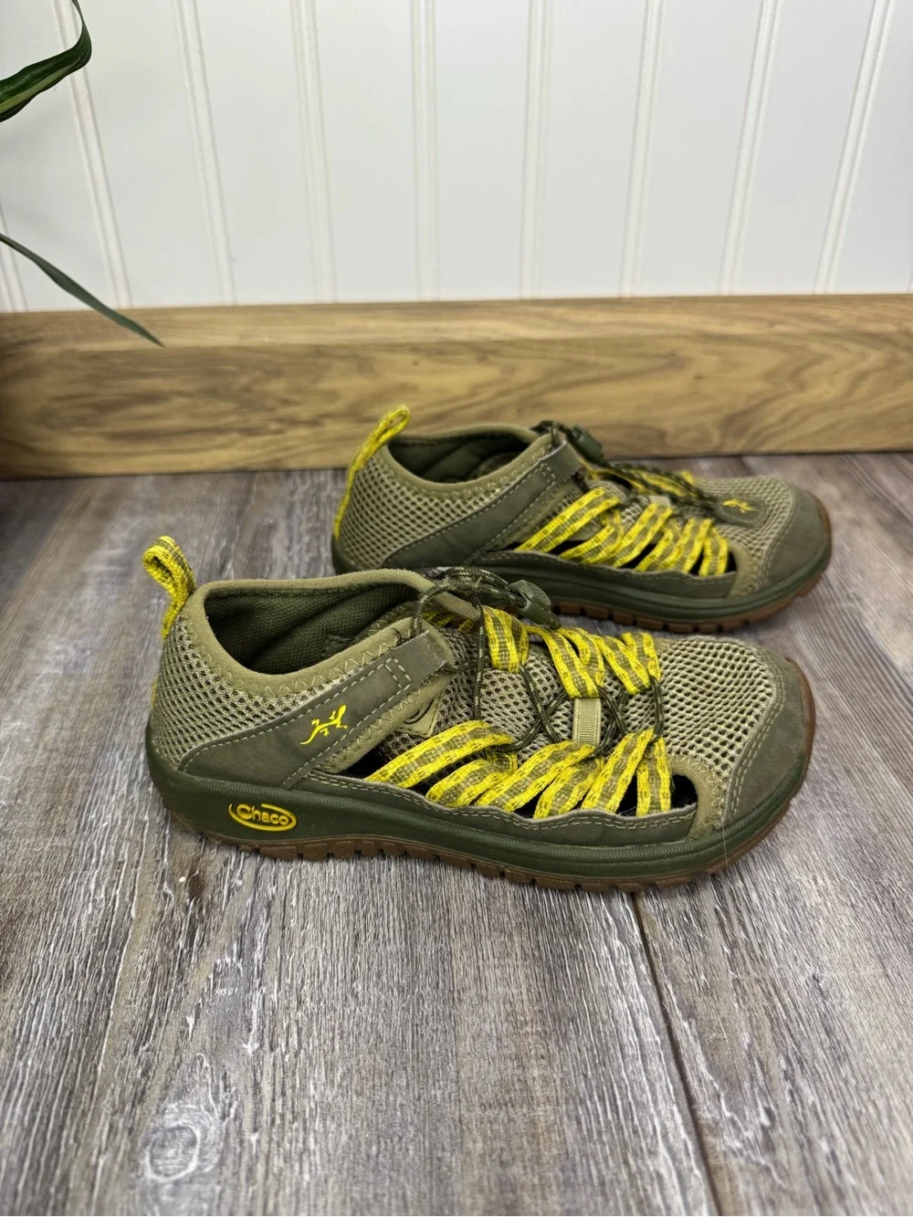 Chaco avocado green